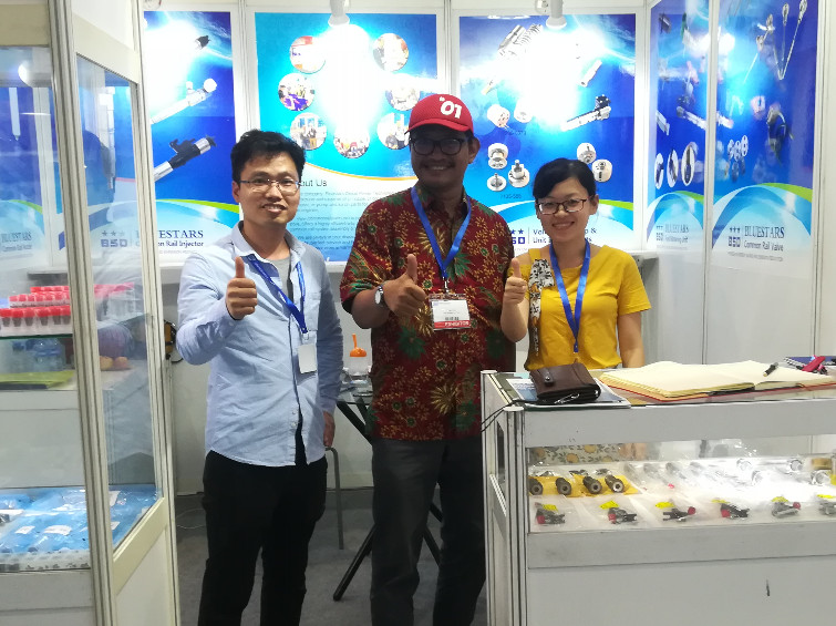 INAPA 2019