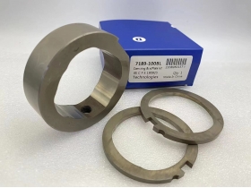 Lucas CAV Cam Ring 7189-100BL