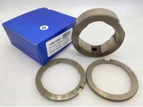 Lucas CAV Cam Ring 7189-100CE