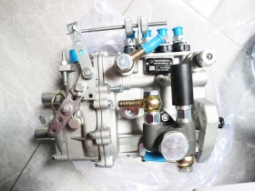 WUXI WEIFU Fuel Injection Pump 4PL1169 BHF4PL080040 for Kipor KDE20S S3 KD488 Engine