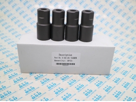 Nozzle Cap Nut 2 433 314 120 for Hatz, Man Fuel Injector 0432291752