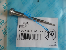 Common Rail Injector Valve F00VC01053