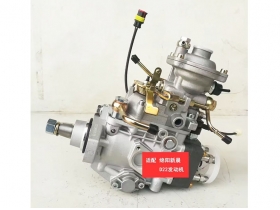 Brand New VE Injection Pump VE4/10E2000R059 for Mianyang Xinchen diesel engine