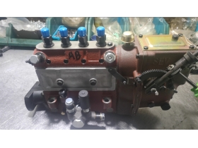 Fuel Injection Pump BH4B115YS31AB for ShangChai Diesel Engine