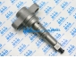 Plunger Barrel 2418455356, 2 418 455 356