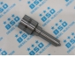 images/v/common-rail-nozzle1-DSLA124P5500.jpg