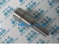 Nozzle BDLL150S6600CF